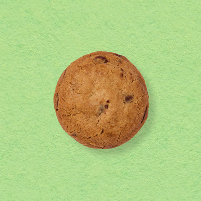 Choc Chip Biscuit